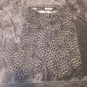 Torrid leopard print jegging